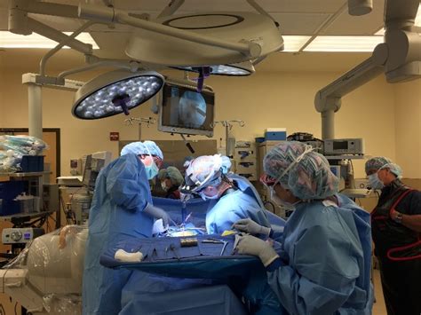 Two Gainesville surgeons are first in state to perform... | AccessWDUN.com