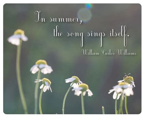 Beautiful Summer Day Quotes. QuotesGram