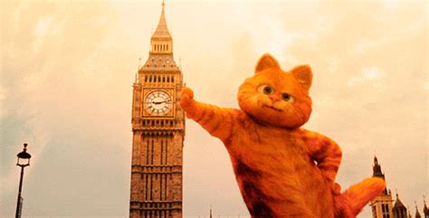London Garfield GIF - Find & Share on GIPHY