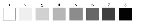 Complete Guide to the Importance of Tonal Values in Art