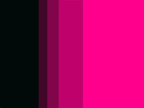 Palette / Black to Neon Pink | Color palette pink, Color palette design, Paint color palettes