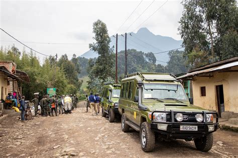 GORILLA TREKKING IN RWANDA | Sandra Wagner-Wright