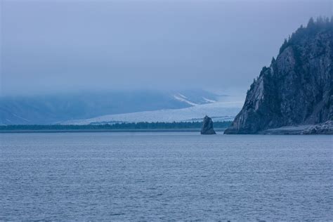 The Best Kenai Fjords Wildlife Cruise - Musings of a Rover