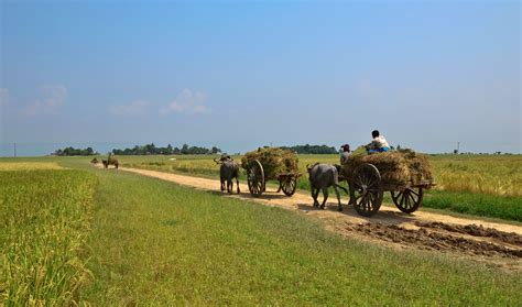 Bangladesh | Landscape, Village life, Pictures of people