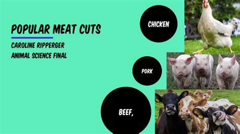 Popular Meat Cuts by Caroline Ripperger