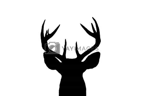 Whitetail Deer Buck Silhouette by deepspacedave Vectors & Illustrations ...