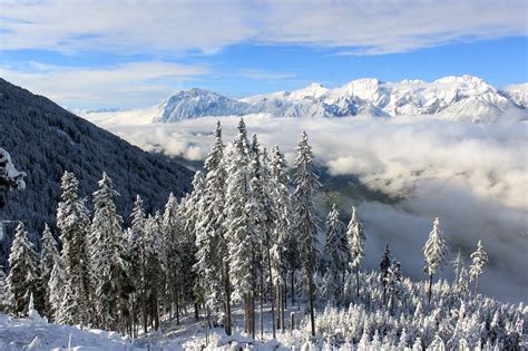 Free picture: landscape, wood, blue sky, cold, mountain, winter, ice ...