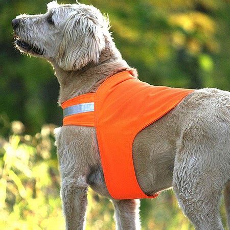 Dog Safety Vest, Hunter Orange by Dog Not Gone