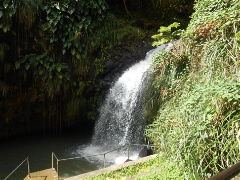 Waterfall in St Lucia | St lucia, Waterfall, Nature