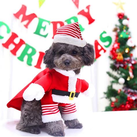 Christmas Dog Costume For Those Special Occasions