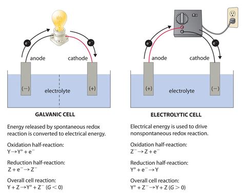 7 Segment LED Display Tutorial For Dummies | Electrochemistry, Galvanic ...