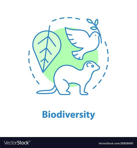 Biodiversity concept icon Royalty Free Vector Image