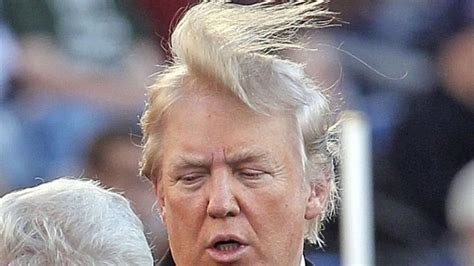 Petition · Donald Trump needs a haircut - United States · Change.org