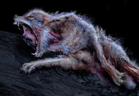 Skinwalker transformation, Daniel Clasquin on ArtStation at https://www.artstation.com/artwork ...