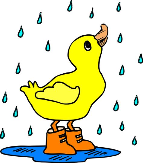 Rain Duck Puddle · Free vector graphic on Pixabay