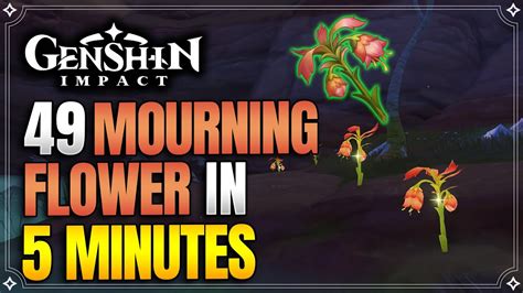 Mourning Flower Locations | Fast and Efficient Farming Route | Kaveh Materials |【Genshin Impact ...