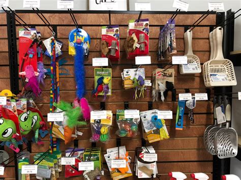 Pet Supplies — From Head To Tail