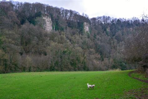 Welsh Bicknor : Grassy Field © Lewis Clarke cc-by-sa/2.0 :: Geograph ...