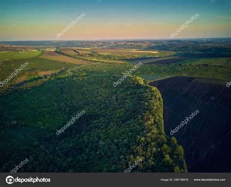 Aerial View From The Drone, A BirdS Eye View To The Forest With Green ...