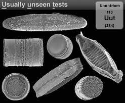 Ununtrium is a chemical element with atomic number 113. It has a ...