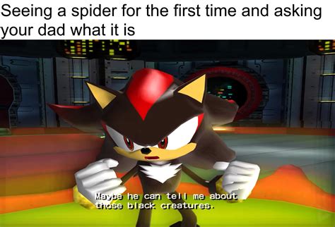 Making a meme out of one line from Shadow the Hedgehog:Day 54 [Nitro-Fueled] : r/AdventureMemes