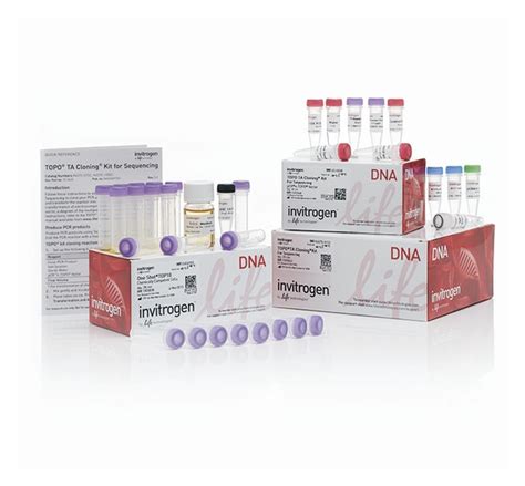 Invitrogen TOPO TA Cloning Kit for Sequencing, with One Shot TOP10 Chemically | Fisher Scientific