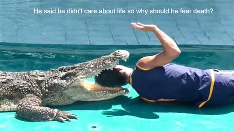 Crocodile Funny Videos - Funny Videos Compilation 2016 - YouTube