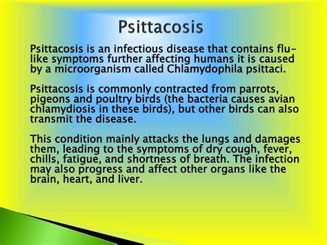 PPT - Psittacosis: Causes, Symptoms, Daignosis, Prevention and Treatment PowerPoint Presentation ...