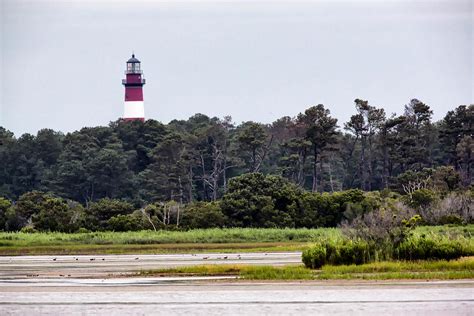 Chincoteague Lighthouse Photograph by Jack Nevitt | Fine Art America