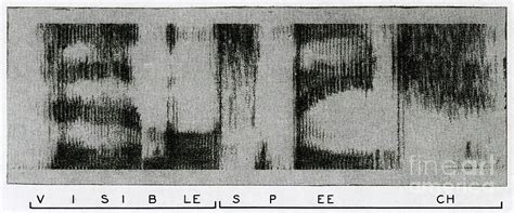 Spectrogram Of The Word Visible Speech Photograph by Science Source ...