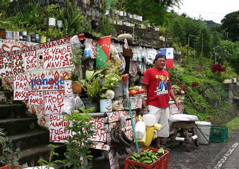 Roadside Vendor Free Stock Photo - Public Domain Pictures