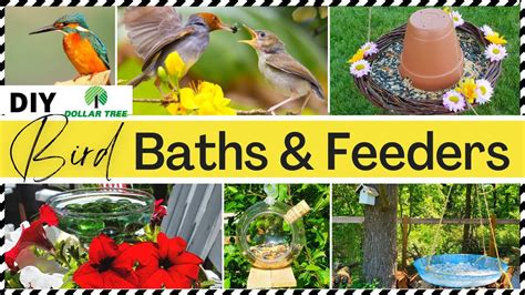 ? DIY OUTDOOR BIRD BATHS & FEEDERS | DOLLAR TREE DIY Easy Craft Ideas ...