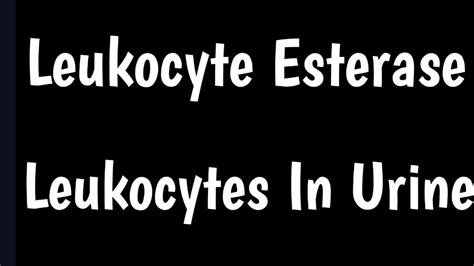 Leukocyte Esterase Urine Test | Leukocytes In Urine | Causes & Symptoms ...