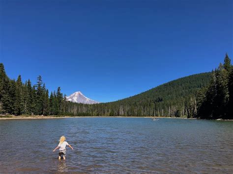 Frog Lake, Oregon: Mt Hood campground, trail + polliwog paradise!