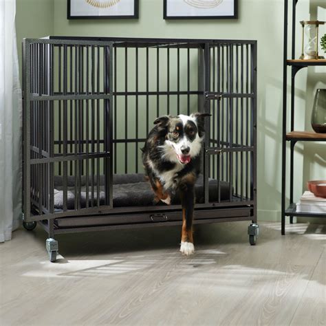 Steel Cage For Dogs | ocimumglobal.com