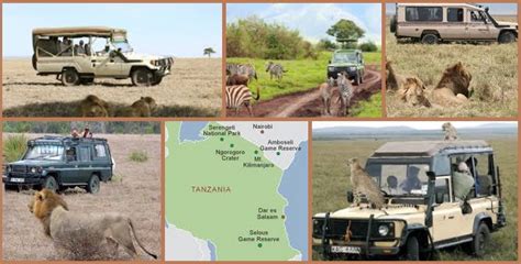 Get the Tanzania Safari Tour Packages within your Budget