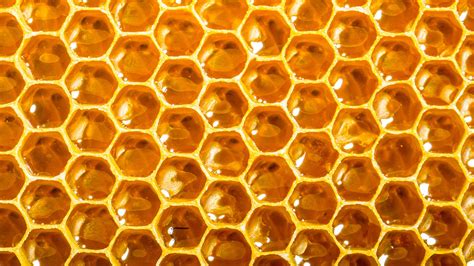 Can A Smart Beehive Network Of Open-Source Hives Help S | Fast Company