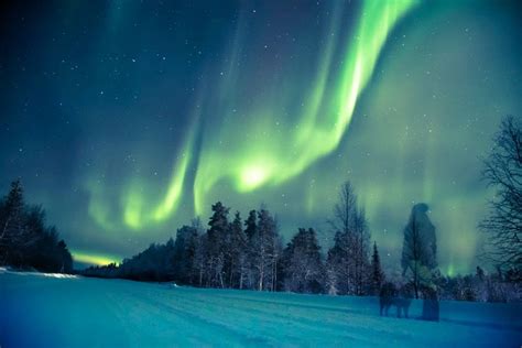 Diary of an Aurora-Chaser – FINLAND, NATURALLY