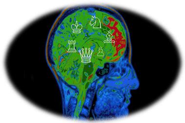 ¿Qué Pasa En Nuestro Cerebro Cuando Jugamos Ajedrez? - Chess.com