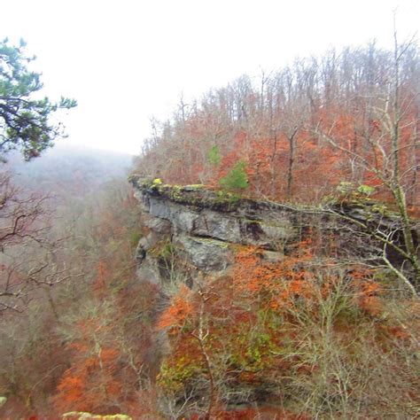 Arkansas - Hiking the Ozarks Photo | Favorite places, Ozarks, Natural landmarks