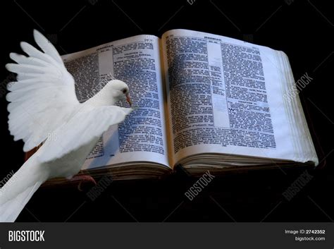 White Dove Bible Cross Image & Photo (Free Trial) | Bigstock