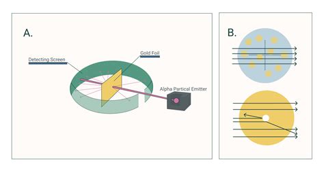 The History of the Atomic Model: Rutherford and Bohr