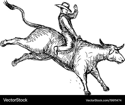 Bull riding rodeo cowboy drawing Royalty Free Vector Image