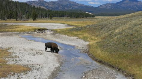 Buffalo River | Travel around, Natural landmarks, Travel