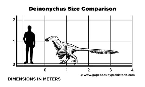 An Ultimate Guide to Deinonychus: The Terrible Claw - Gage Beasley ...