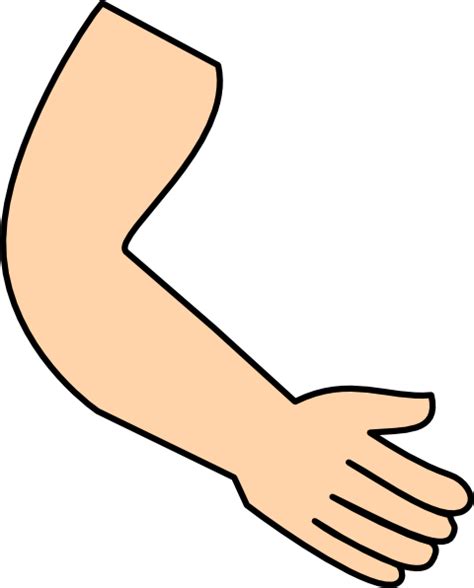 Cartoon Picture Of Arm - ClipArt Best