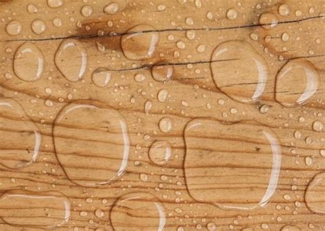 How to Waterproof Plywood Outdoors [Avoid These 7 Mistakes!)