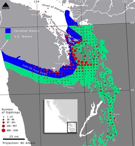 Distribution of southern resident killer whale sightings from the Whale ...