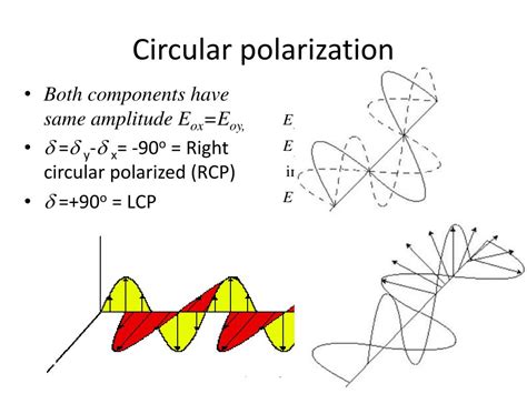 PPT - Polarization : PowerPoint Presentation, free download - ID:4854713