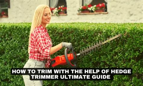 How to Trim Holly Bushes With Hedge Trimmer